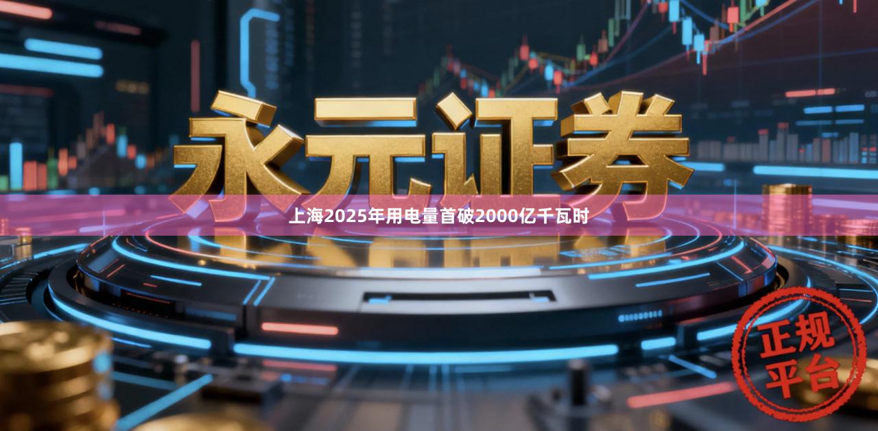 上海2025年用电量首破2000亿千瓦时